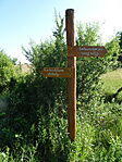 DSC03875