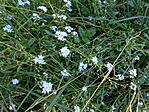 DSC03876