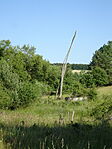 DSC03884