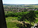 DSC03952