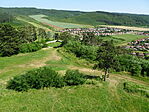 DSC03956