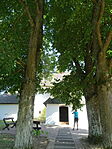 DSC03867