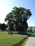 DSC03874