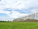 IMG_20250405_162553