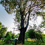 IMG_20250609_185646-EDIT