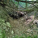 IMG_20250622_162240
