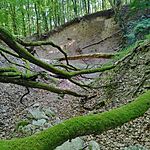 IMG_20250622_162301