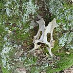 IMG_20250622_170638