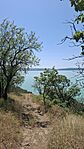 Újra Balaton