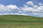 Windows_XP?