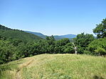 IMG_8175
