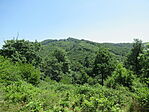 IMG_8210