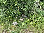 IMG_3355