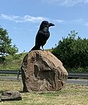 IMG-5d7f5e91b11c036ccc6843033afe8dfc-V