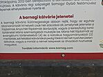 20250614_095542