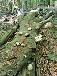 IMG_20250627_143717