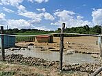 IMG_20250627_150454
