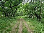 20250603_114052.jpg