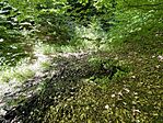 IMG_9496