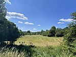 IMG_9583