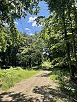 IMG_9586