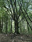 IMG_9604