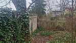 IMG_20250329_113305