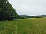 IMG_20250616_094845