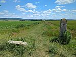 IMG_20250601_133841_578.jpg_compressed