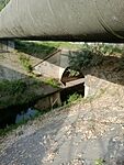 IMG_20250603_070023970_MFNR