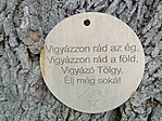 Vigyázó Tölgy