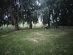 IMG_20250601_203407