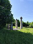 IMG_20250601_090259