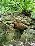IMG_20250531_140721