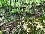 IMG_20250531_135138