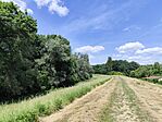 IMG_20250603_134521