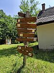 IMG_20250610_104456