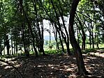 IMG_20250610_121238
