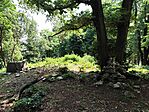 IMG_20250610_121318