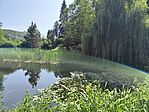 IMG_20250610_153918