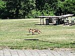 IMG_20250614_144424