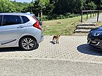 IMG_20250614_144449