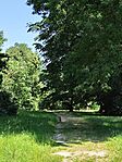 IMG_20250614_145735