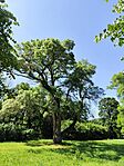 IMG_20250614_150305