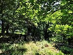 IMG_20250614_112256