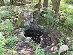 IMG_20250614_112514