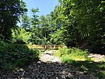 IMG_20250615_120433