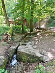 IMG_20250615_122711
