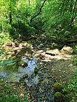 IMG_20250615_122716