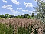 IMG_20250618_130755